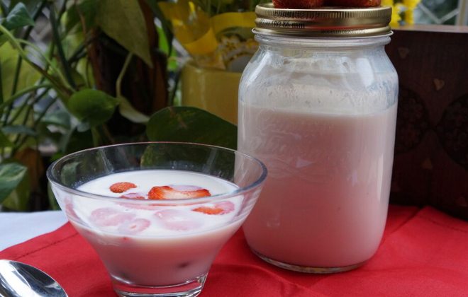 receita iogurte caseiro funcional
