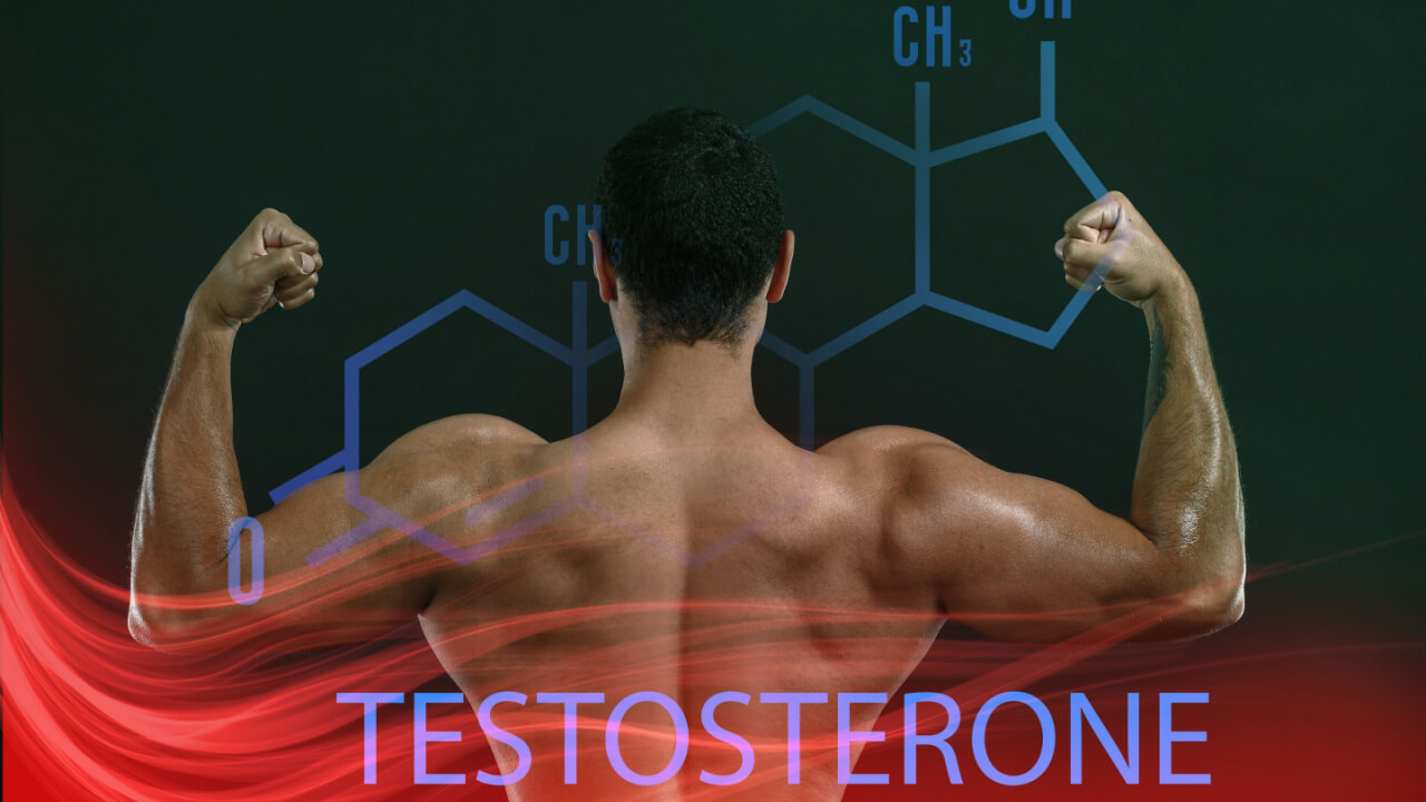 Três dicas para aumentar a testosterona